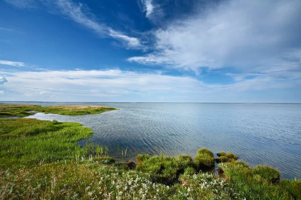 Kabát Denmarku Djursland Létě — Stock fotografie