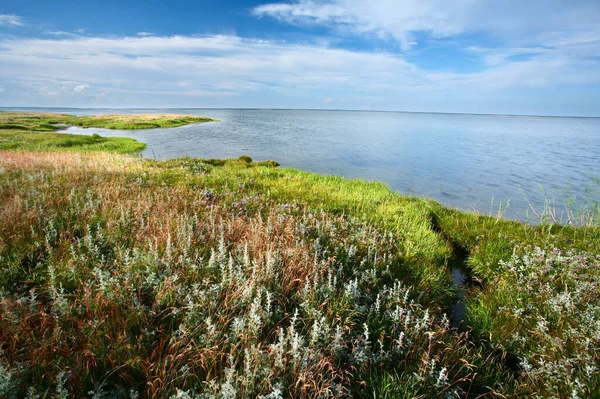 Kabát Denmarku Djursland Létě — Stock fotografie