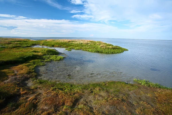 Kabát Denmarku Djursland Létě — Stock fotografie