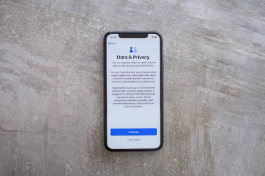 Veri ve Gizlilik Metni ile Apple Iphone Xs Uzay Gri Ekran