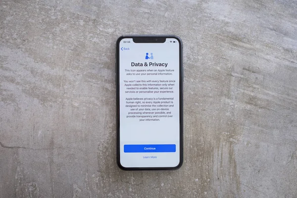 Apple Iphone Space Grauer Bildschirm Mit Daten Und Datenschutz Text — Stockfoto