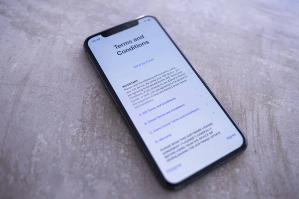 Apple Iphone Gris Espace Fermer Les Termes Conditions Écran — Photo