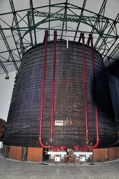 Thuir 2018年9月5日 世界上最大的橡木桶 Thuir 桑扎诺公司的酒窖中含有 100万200公升葡萄酒 — 图库照片