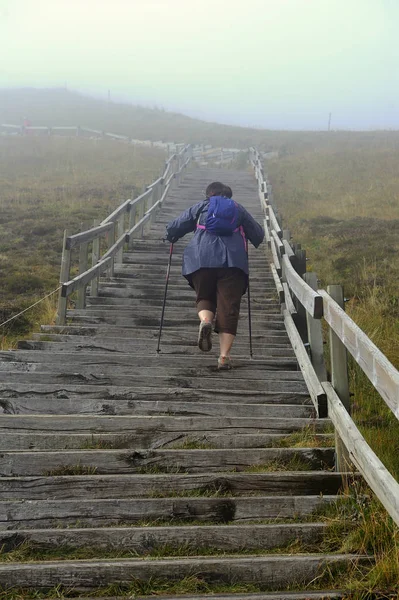 Eine ältere Frau geht die treppe des puy de sancy hinauf — Stockfoto