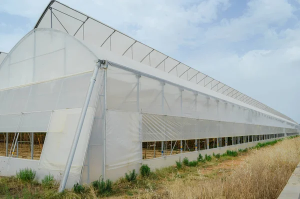 Uma Fileira Tendas Plástico Coberto Arco Casa Para Produção Framboesa — Fotografia de Stock