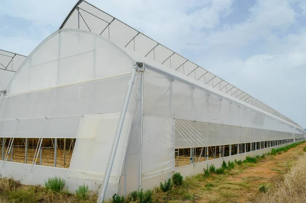 Uma Fileira Tendas Plástico Coberto Arco Casa Para Produção Framboesa — Fotografia de Stock