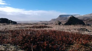 dron gelen İzlanda doğa