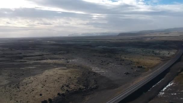 Ісландія Природа Додендрон — стокове відео