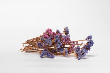 beyaz arka plan kesim izole kurutulmuş çiçek