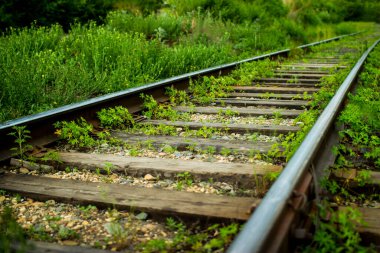 Eski demiryolu rayları. Terkedilmiş demiryolu. Tren rayları.