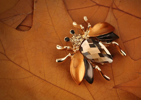 Broche de bug bijoux avec pierre précieuse sur fond de feuilles jaunes, c — Photo