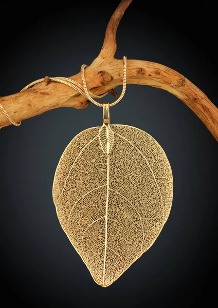 Joyería forma colgante de hoja en ramita, sobre fondo oscuro —  Fotos de Stock