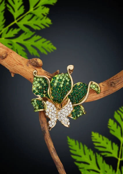 Jewelry ring with gems on branch with leafs — Stock Photo, Image