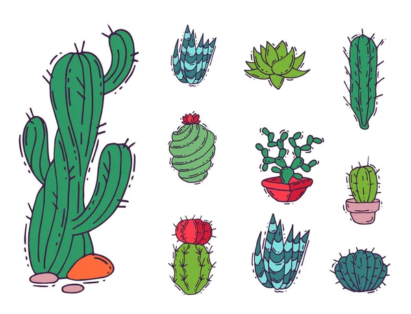 Cactus home natura vettoriale illustrazione di piante verdi cactus albero con fiore — Vettoriale Stock