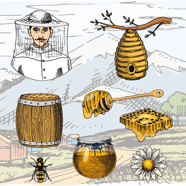 Apiary farm vector desenhado à mão mel vintage fazendo agricultor apicultor ilustração natureza produto por abelha —  Vetores de Stock