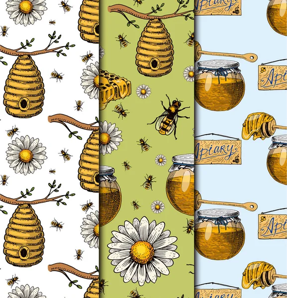 Μελισσοκομικά διάνυσμα χαμομήλι χέρι εκλεκτής ποιότητας μέλι κάνοντας αγρότης μελισσοκόμος εικονογράφηση φύση προϊόντος άνευ ραφής μοτίβο φόντου. — Διανυσματικό Αρχείο