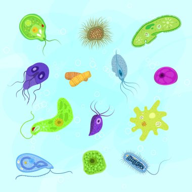 Mikrobiyoloji organizmalar mikrop veya arka plan üzerinde izole bakteri virüs vektör bakteriyel enfeksiyon virüs benzeri hastalık illüstrasyon öldürücü bakteri set