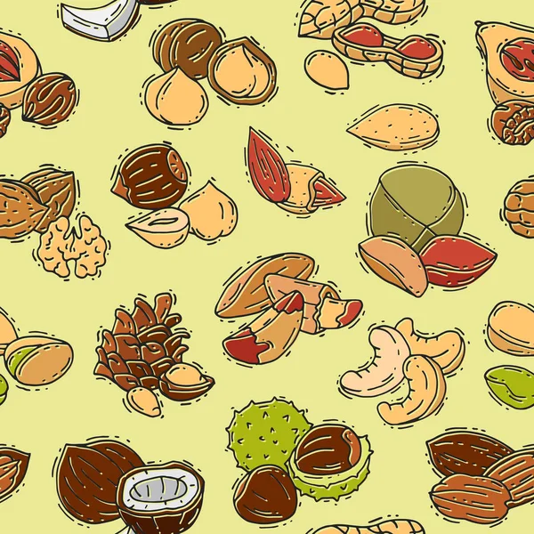 Nuts vector nutshell of hazelnut almond and walnut nutrition illustration set cashew peanut and chestnut with pala seamless pattern background - Stok Vektor