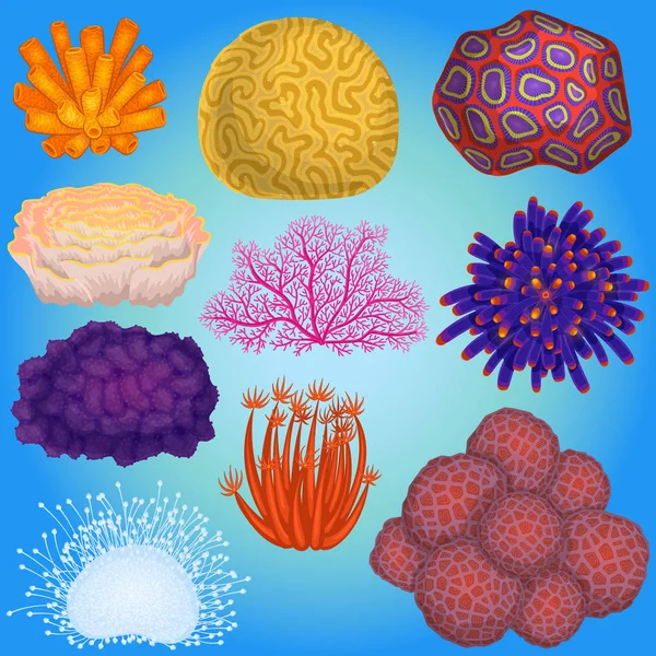 Coral διάνυσμα θάλασσα κοραλλιογενή ή εξωτικά cooralreef υποθαλάσσια εικονογράφηση coralloidal σύνολο φυσικών θαλάσσιας πανίδας στο ocean reef απομονώνονται σε υδάτινο φόντο — Διανυσματικό Αρχείο