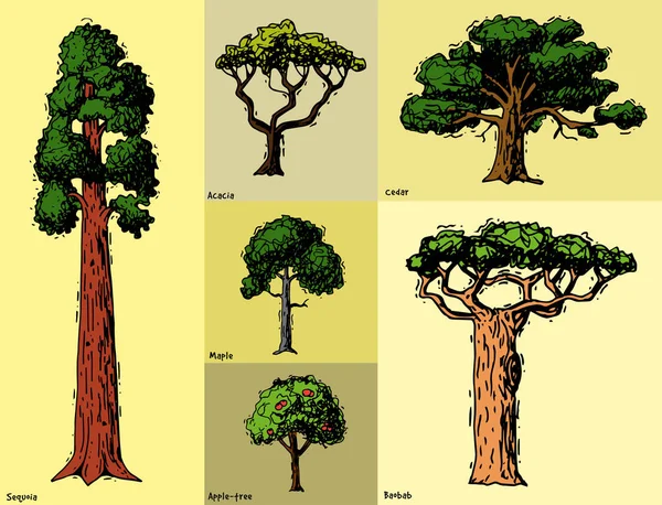 Croquis vectoriel dessiné à la main types de style forêt verte pinèdes collection de bouleau, de cèdre et d'acacia ou jardin de verdure avec fond d'illustration palmier et sakura — Image vectorielle