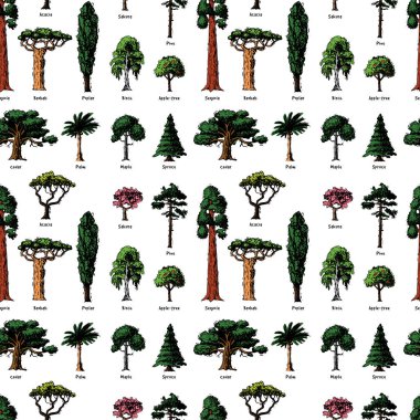 Vektör ağaç kroki elle çizilmiş stili türleri huş ağacı, sedir ve akasya veya yeşil yeşil orman Çam ağaç tepelerinin topluluğu palm ve sakura resimde arka plan bahçe