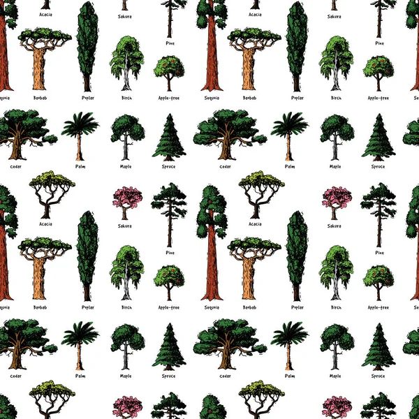 Vector árvore esboço mão desenhado estilo tipos verde floresta pinheiros coleção de bétula, cedro e acácia ou verde jardim com palma e sakura ilustração fundo —  Vetores de Stock