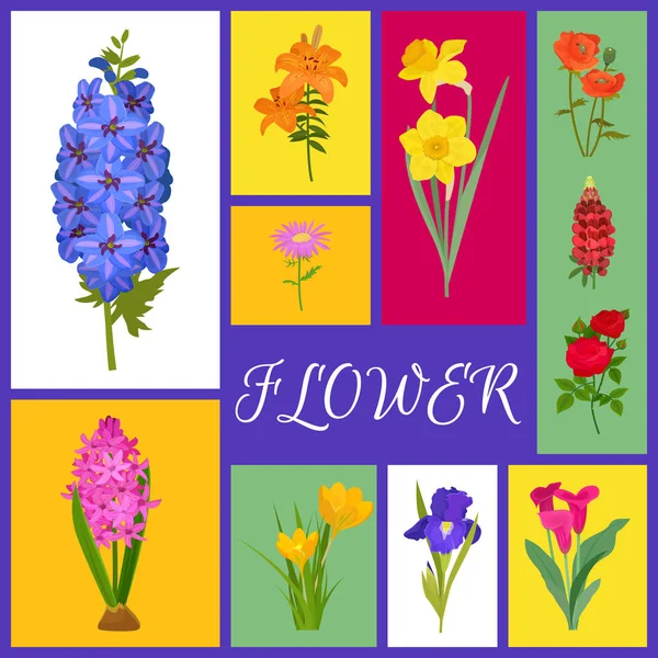 Floral φόντο για Ανθοπωλεία ή προσκλητήρια. Εικονογράφηση διάνυσμα banner λουλούδι. Διαφορετικές πολύχρωμο κινούμενα σχέδια λουλούδια όπως τριαντάφυλλα, ασφόδελος, παπαρούνα, τουλίπα, ίριδα, daylily, ζέρμπερα. — Διανυσματικό Αρχείο