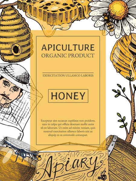 Honing wassende bee en Bijenkorf folder. Poster biologische honing en dessert voeding vectorillustratie bijenteelt, Bijenkorf en kamille. — Stockvector