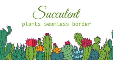 Succulents sorunsuz sınır desen kaktüsler yeşil bitkiler vektör çizim. Doğa botanik houseplant çiçek afiş. Kaktüs tasarım botanik buket. Dekoratif flora Bahçe kartı.
