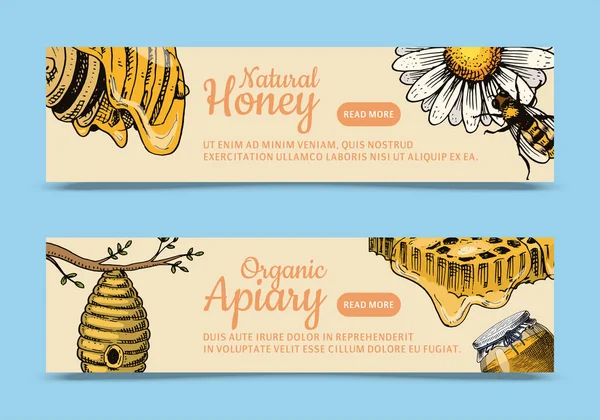 Honing wassende bee en Bijenkorf folder. Poster biologische honing en dessert voeding vectorillustratie bijenteelt, Bijenkorf en kamille. — Stockvector