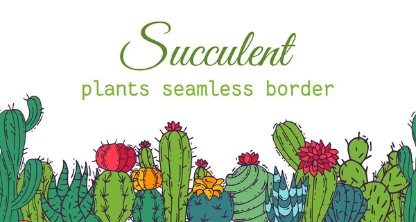 Succulents 원활한 테두리 패턴 선인장 녹색 식물 벡터 일러스트. 자연 식물 houseplant 꽃 배너입니다. 선인장 디자인 식물학 꽃다발입니다. 장식적인 식물 정원 카드. — 스톡 벡터