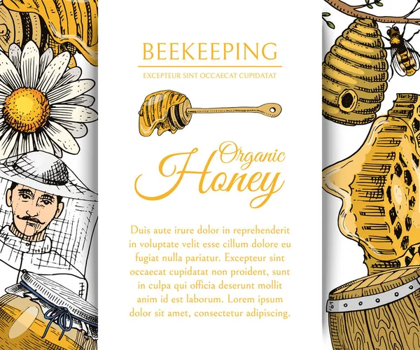 Honing wassende bee en Bijenkorf folder. Poster biologische honing en dessert voeding vectorillustratie bijenteelt, Bijenkorf en kamille. — Stockvector