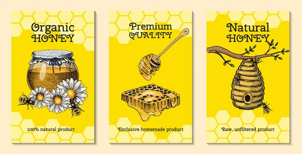 Honing wassende bee en Bijenkorf folder. Poster biologische honing en dessert voeding vectorillustratie bijenteelt, Bijenkorf en kamille. — Stockvector