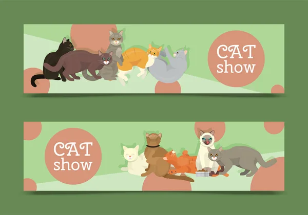 Кошки показывают уход за баннерами или векторную иллюстрацию ветеринарного кошачьего флаера. Симпатичный плакат с домашними животными. Забавная студия животных. Симпатичный персонаж кошачьей киски в рекламе дружбы . — стоковый вектор