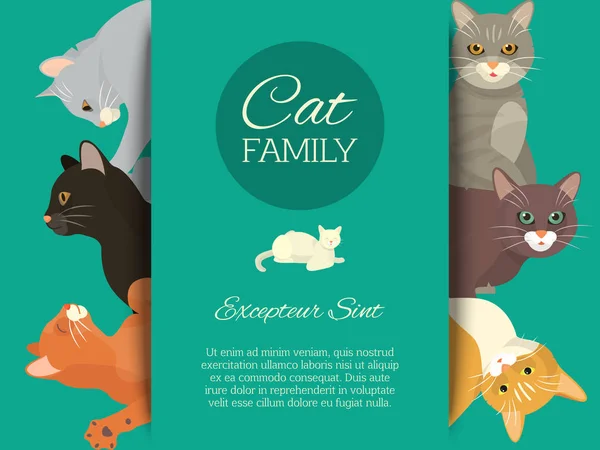 Kediler aile göster afiş damat veya veteriner kedi ilanı vektör çizim. Şirin yavru kedi evde beslenen hayvan poster. Komik hayvan stüdyo. Güzel dostluk reklam kedi kedi karakteri. — Stok Vektör