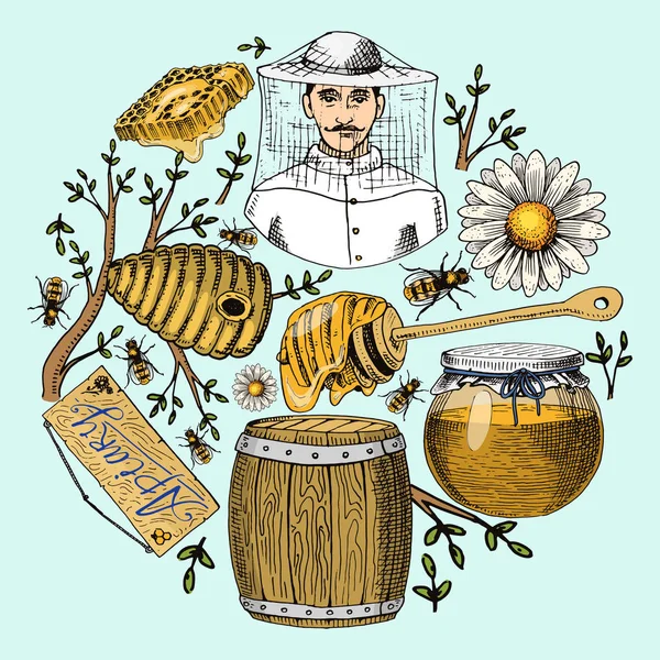 Μέλι bee αποτρίχωση και κυψέλη Φέιγ βολάν. Αφίσα βιολογικό μέλι και Μελισσοκομικά, κυψέλη και χαμομήλι επιδόρπιο διατροφή διανυσματικά εικονογράφηση. — Διανυσματικό Αρχείο