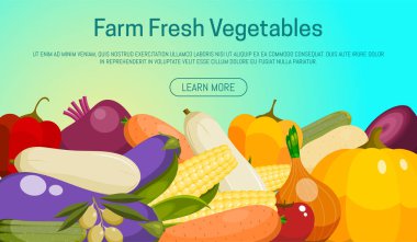 Çiftlik taze sebze afiş vektör illüstrasyon. Gıda pazarı. Vejetaryen, doğal ve organik ürünler. Sağlıklı yaşam tarzı. Biber, domates, patates, havuç, pancar içerir.