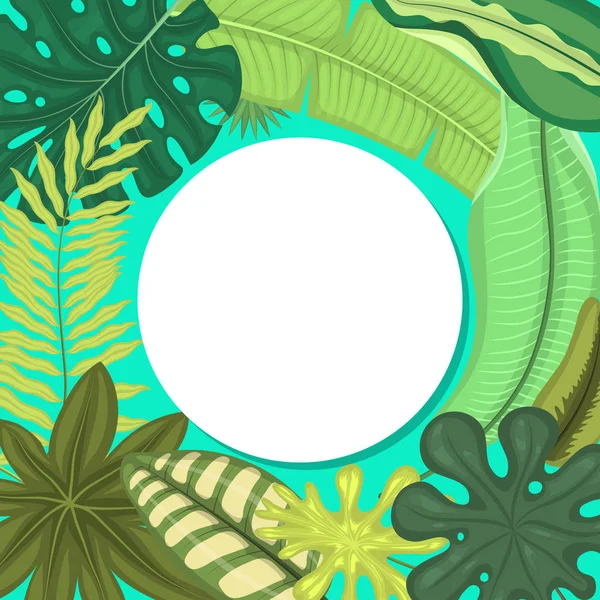 Tropical leaves round pattern vector illustration. Summer time. Amazing palms. Jungle leaves, split leaf, philodendron plant. Vacation and rest in nature. Rainforest trees.