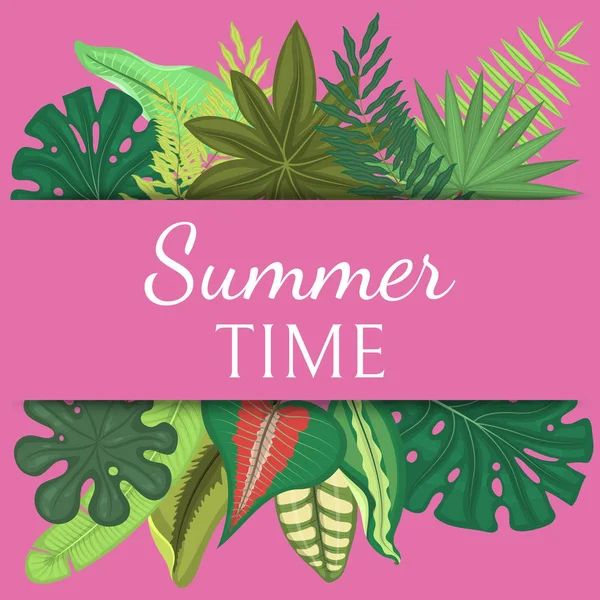 여름 시간 배너, 포스터 벡터 일러스트. 열대 잎. 놀라운 손바닥. 정글 잎, 분할 잎, philodendron 식물. 패션, 인테리어, 포장, 포장에 적합. — 스톡 벡터
