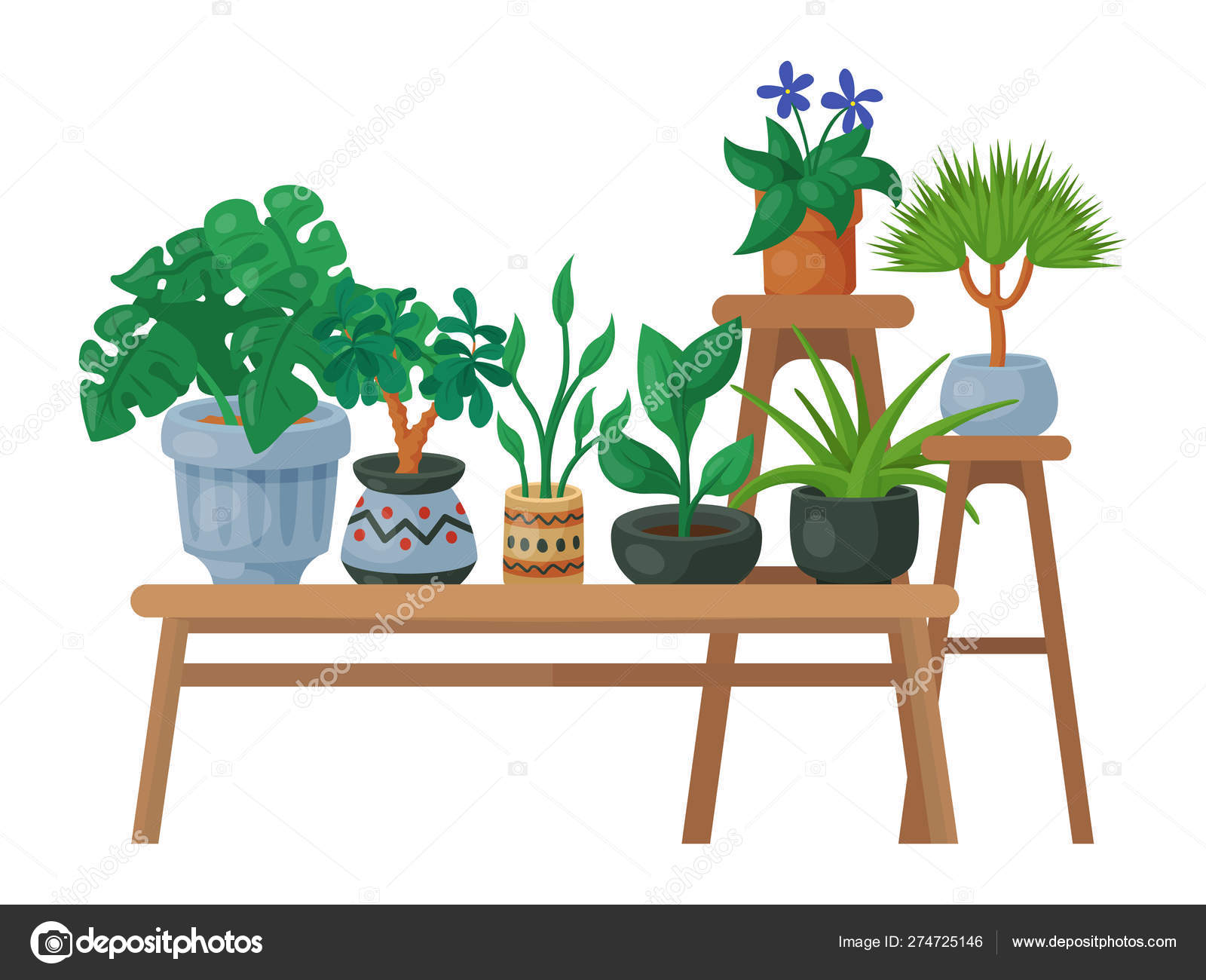屋花架室内花卉栽培载体插图 自然家居装饰园艺 室内植物在花盆美容装饰植物 叶子异国情调的花园房子植物表 图库矢量图像 C Vectordreamsmachine