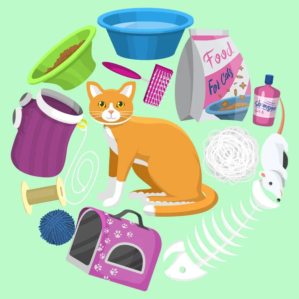 Cats accessories vector illustration. Animal supplies, food and toys for cats, toilet, carrier and equipment for grooming and pet care all located around a cute ginger cat. — Stock Vector