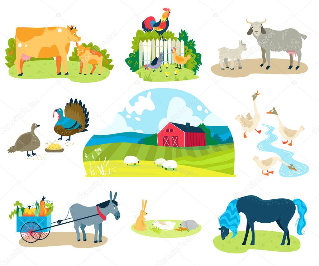 Farm animals vector illustration set, cartoon flat domestic animals collection with donkey with farmers wagon, goat sheep horse cow chicken