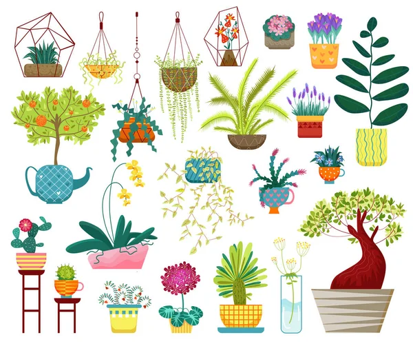 Home planten vector illustratie, cartoon flat house indoor decoratie collectie met opknoping planters, sappige kamerplanten in pot — Stockvector