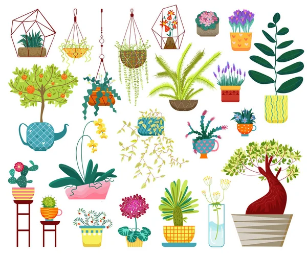 Casa plantas ilustração vetorial, desenho animado casa plana decoração interior coleção com plantadores pendurados, plantas de sala suculentas em vaso — Vetor de Stock