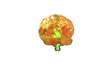 İplik, parlayan ve değiştirme rengi yeşilden kırmızıya insan beyni. 3D animasyon