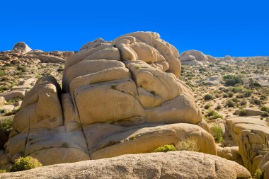 joshua tree national Park gizli Vadisi doğal kayalar
