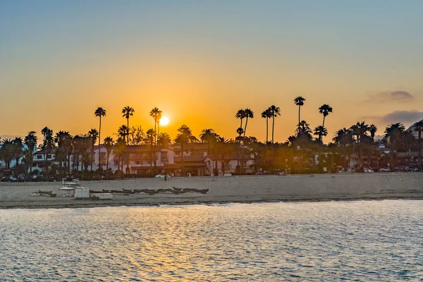 Strand Van Santa Barbara Met Palmbomen Zonsondergang — Stockfoto