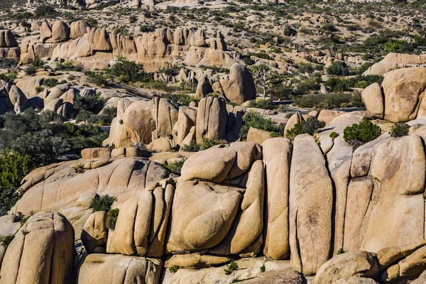 Sceniczny Skały Park Narodowy Joshua Tree Ukrytej Dolinie — Zdjęcie stockowe