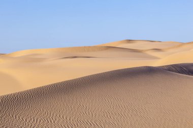 beautiful sand dune in sunrise in the sonoran desert clipart