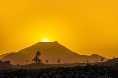 Lanzarote volkanik bölgede bağımsız ağaçları ile romantik günbatımı